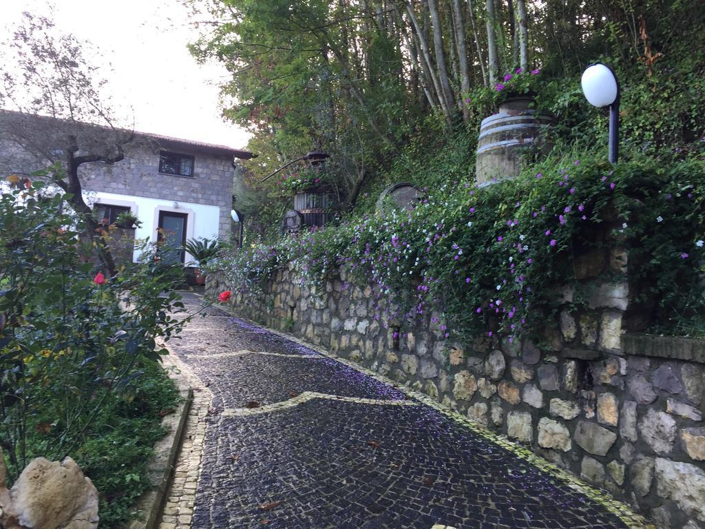 Willa Il Casale Del Mirto Vico Equense Zewnętrze zdjęcie