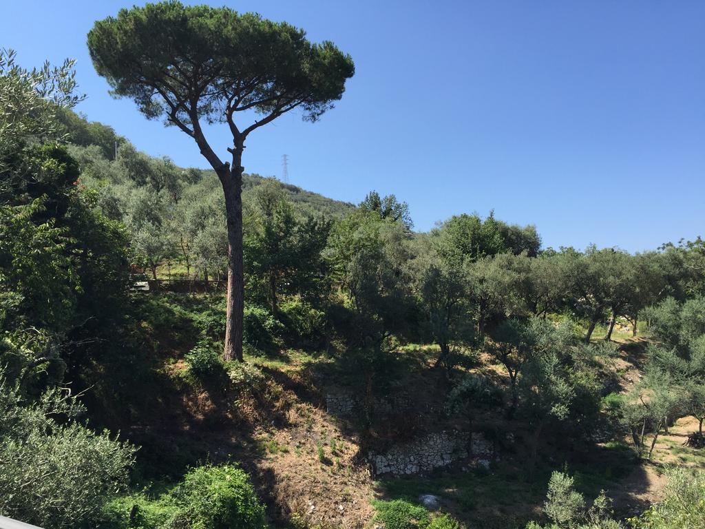 Willa Il Casale Del Mirto Vico Equense Zewnętrze zdjęcie